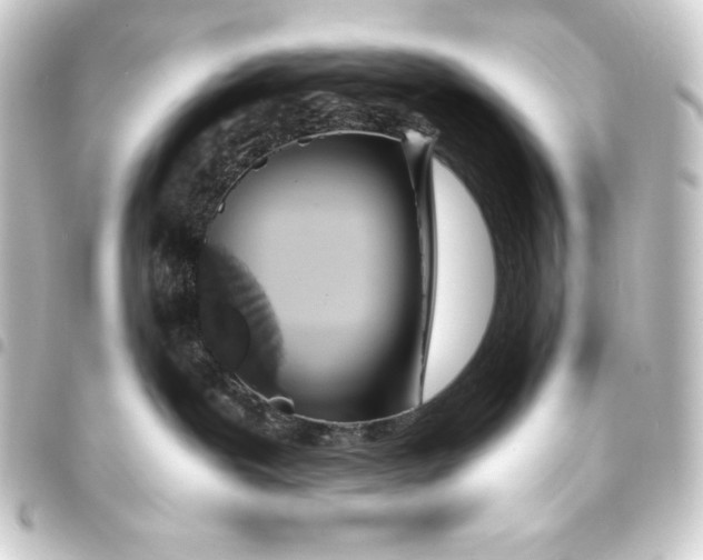 X0000093410239200711021001