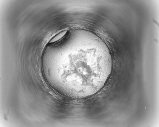 X0000093410241200711021001