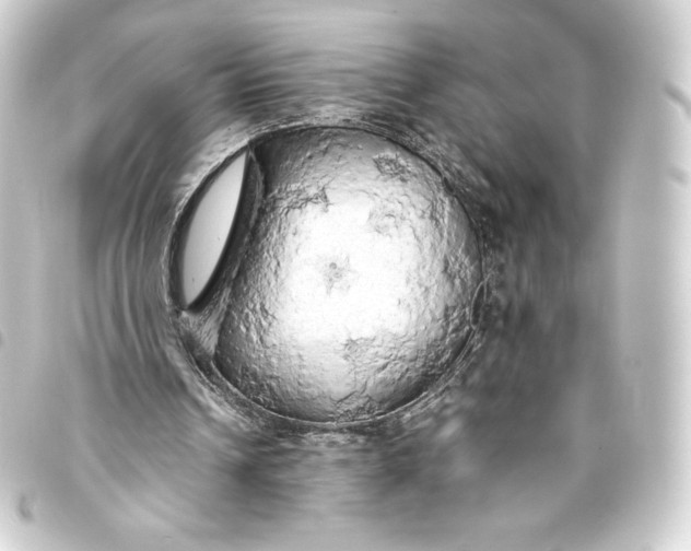 X0000093410242200711021001