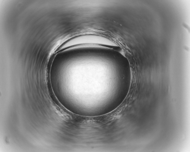 X0000093410244200711021001