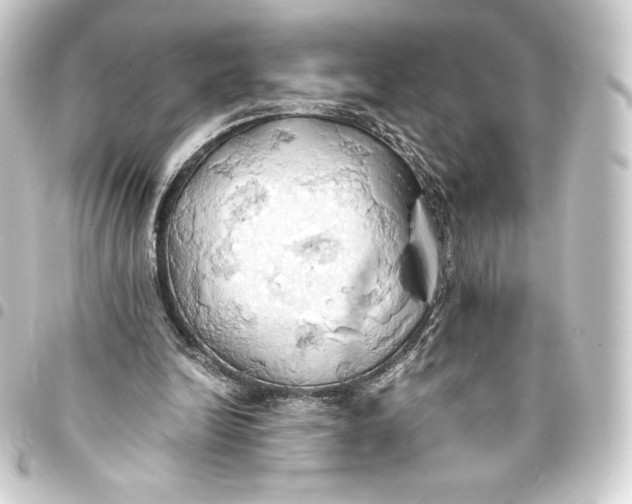 X0000093410246200711021001