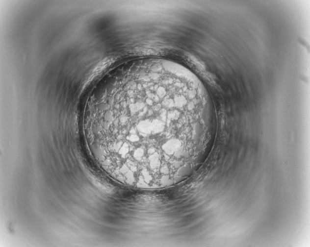 X0000093410250200711021001