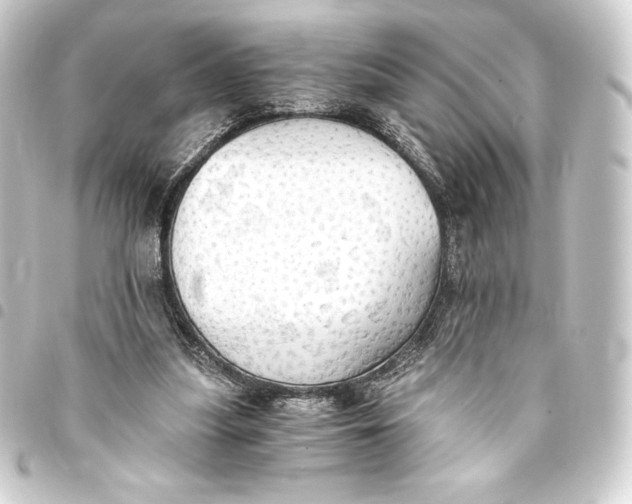 X0000093410251200711021001