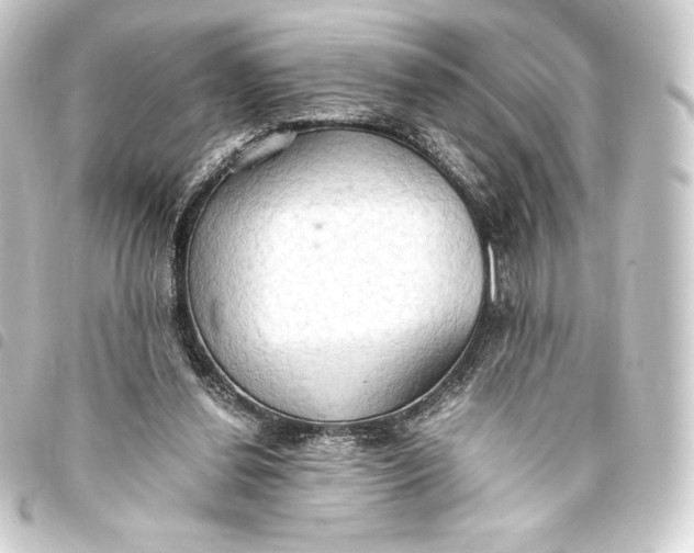 X0000093410252200711021001