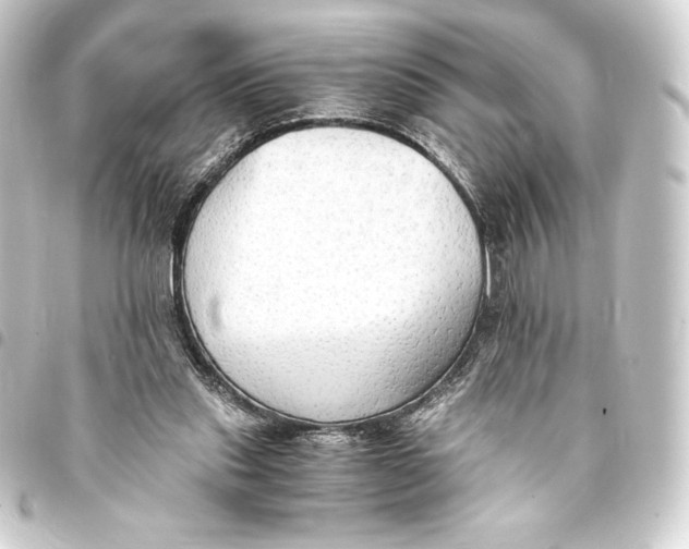 X0000093410253200711021001