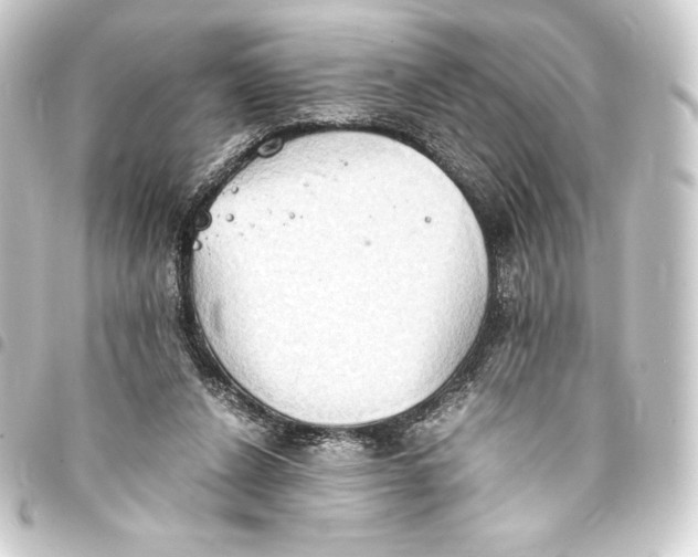 X0000093410256200711021001