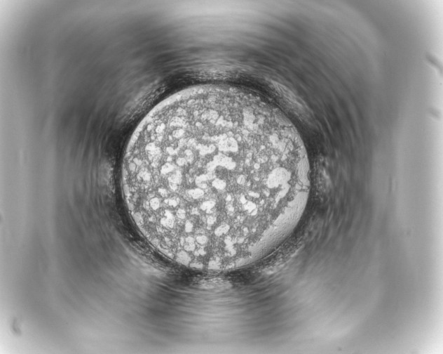 X0000093410258200711021001