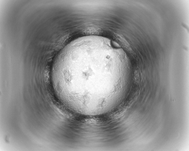 X0000093410259200711021001