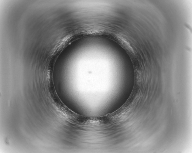 X0000093410260200711021001