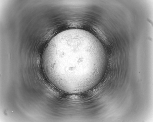 X0000093410265200711021001