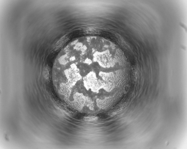 X0000093410266200711021001