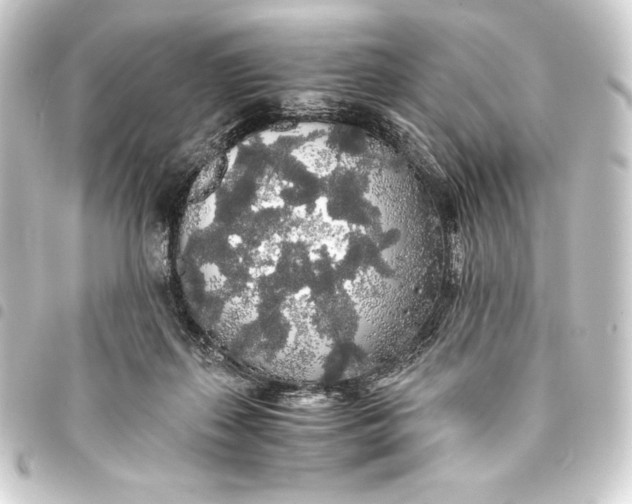 X0000093410267200711021001