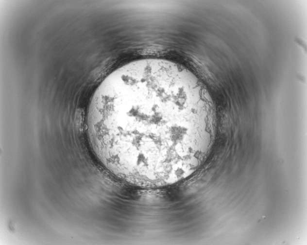 X0000093410273200711021001