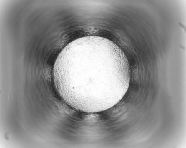 X0000093410274200711021001