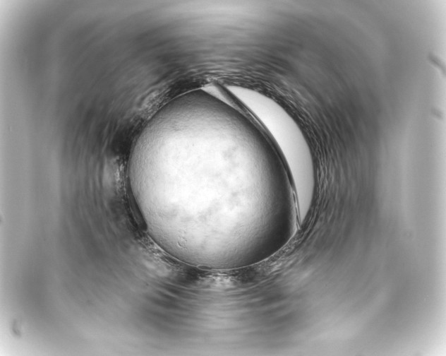 X0000093410276200711021001