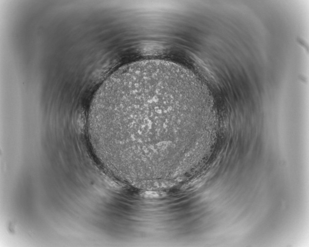 X0000093410277200711021001