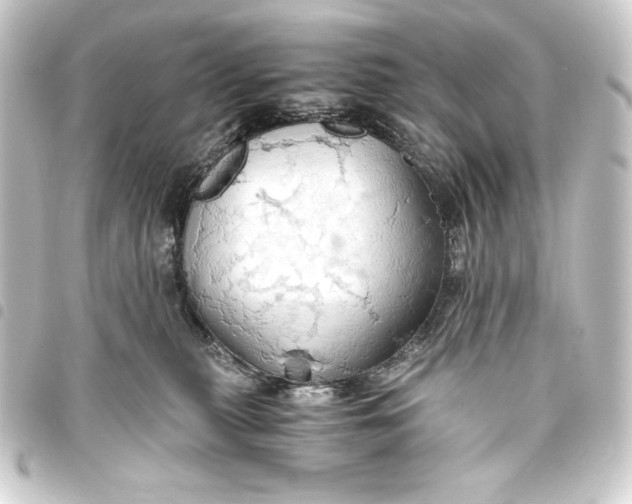 X0000093410279200711021001