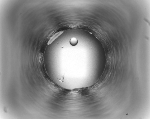 X0000093410280200711021001