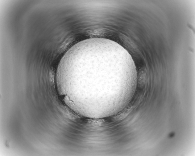 X0000093410282200711021001