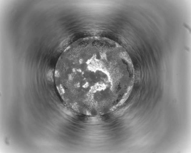 X0000093410286200711021001