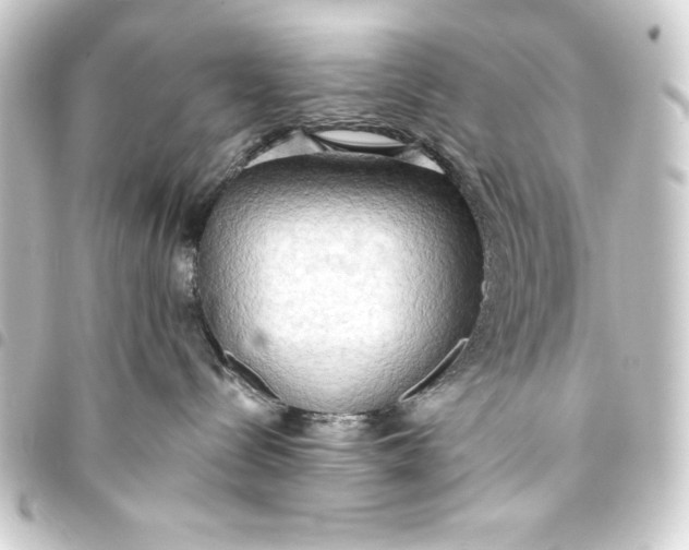 X0000093410288200711021001