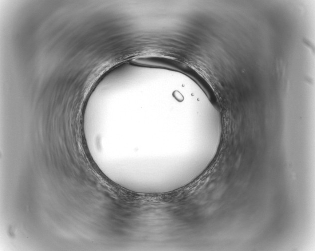 X0000093410289200711021001