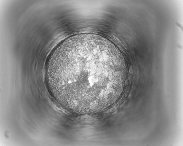 X0000093410290200711021001