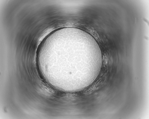 X0000093410292200711021001