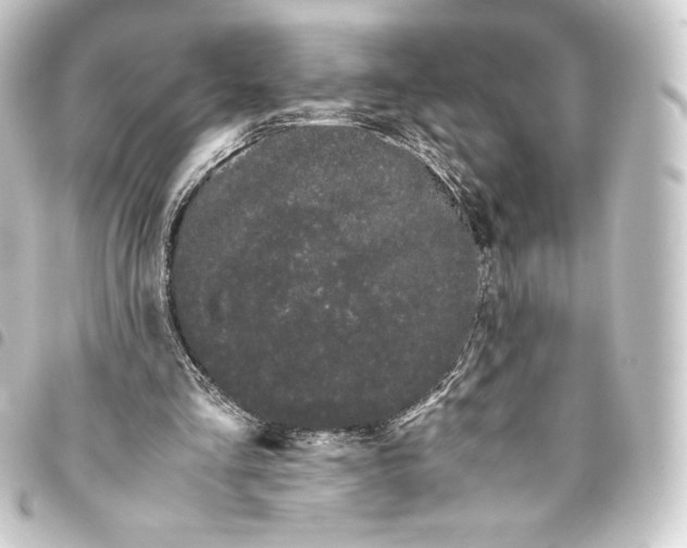 X0000093410293200711021001