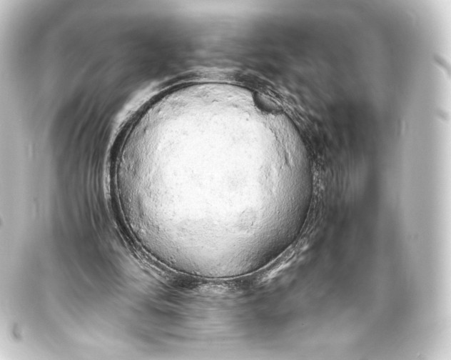 X0000093410294200711021001