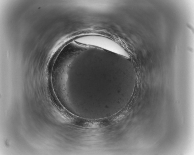 X0000093410295200711021001