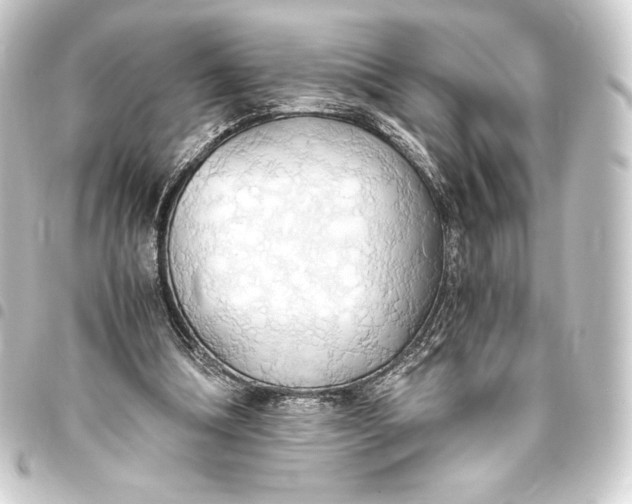 X0000093410298200711021001