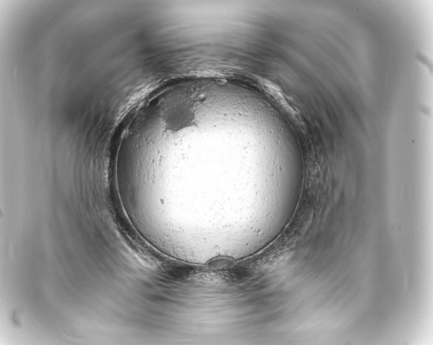 X0000093410299200711021001