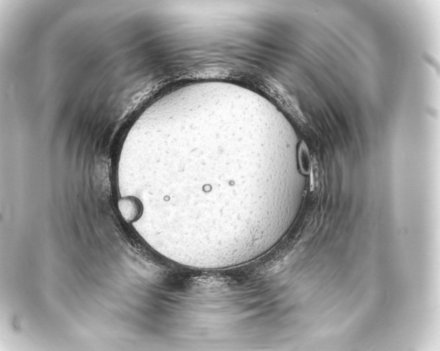 X0000093410300200711021001