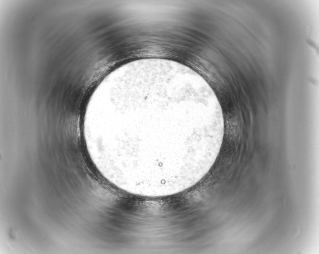 X0000093410302200711021001