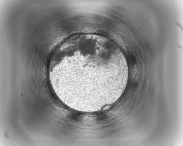 X0000093410303200711021001