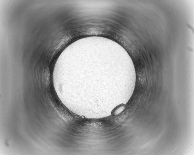 X0000093410304200711021001