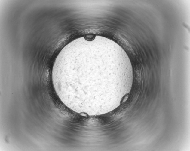 X0000093410308200711021000