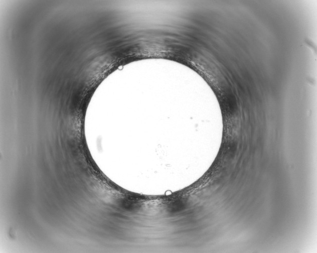 X0000093410309200711021000