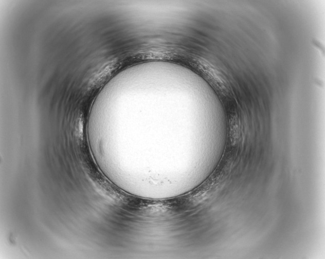 X0000093410310200711021000