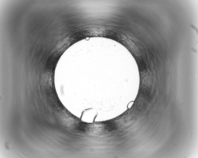 X0000093410313200711021000