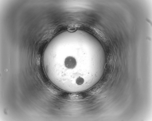 X0000093410315200711021000