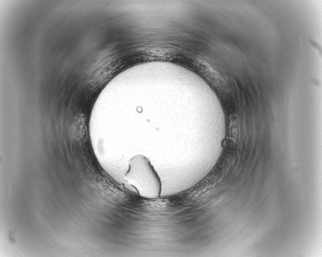 X0000093410318200711021000