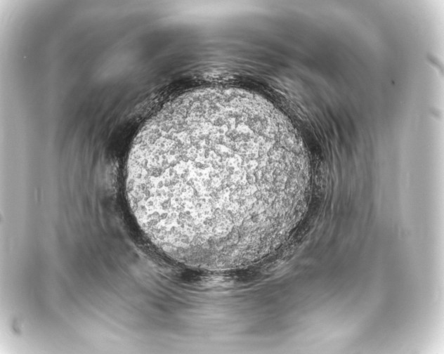 X0000093410319200711021000