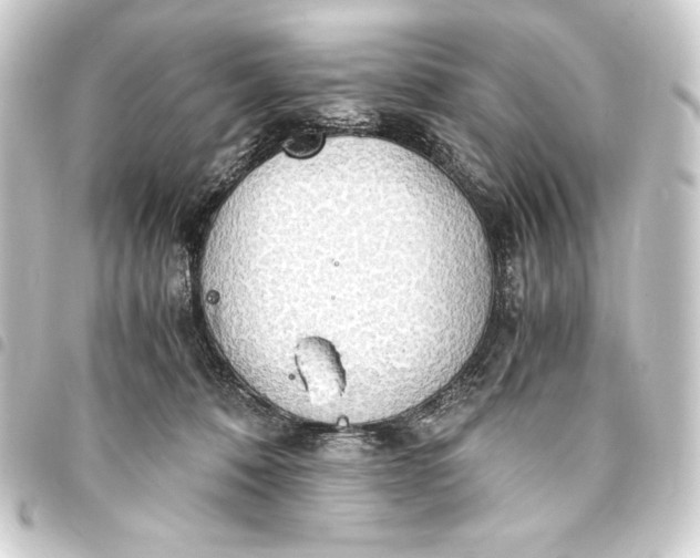 X0000093410320200711021000