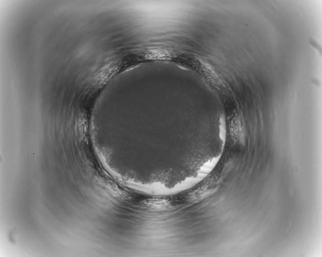 X0000093410322200711021000