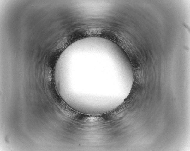 X0000093410323200711021000