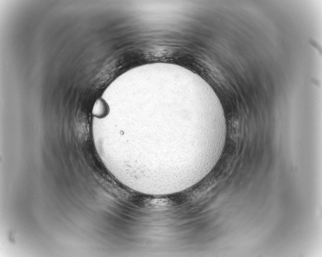 X0000093410324200711021000