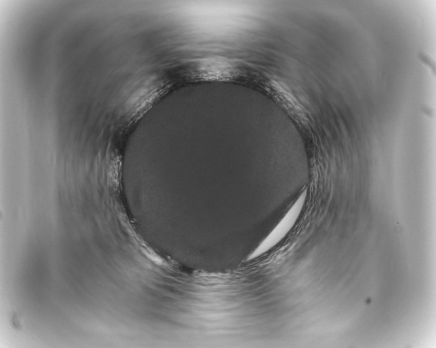 X0000093410325200711021000