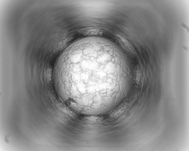 X0000093410326200711021000